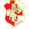 纳沙尔狮队